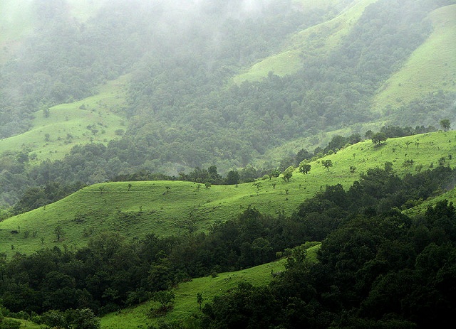 Kudremukh_National_Park,_Western_Ghats,_Karnataka