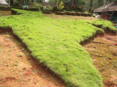 grass-map-india