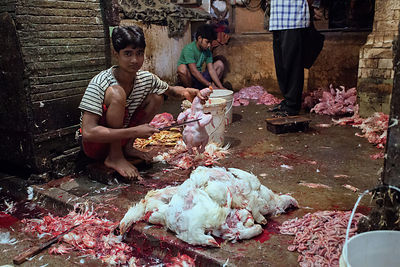 Workers process chickens at a slaughterhouse, Newmarket, Kolkata, India.
